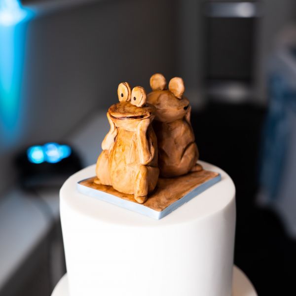 Wedding filming and Covid Nikki and Chris's mascot